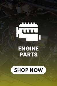 Untitled design (11)