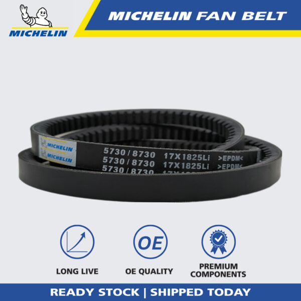 MICHELIN 5730 RPF V Fan Belt for Air Cond, Alternator, Power Steering