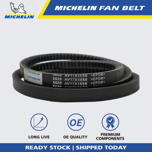 MICHELIN 5620 RPF V Fan Belt for Air Cond, Alternator, Power Steering