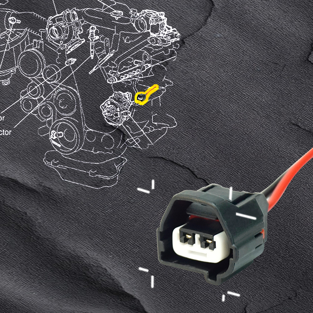 PAW Automotive Socket