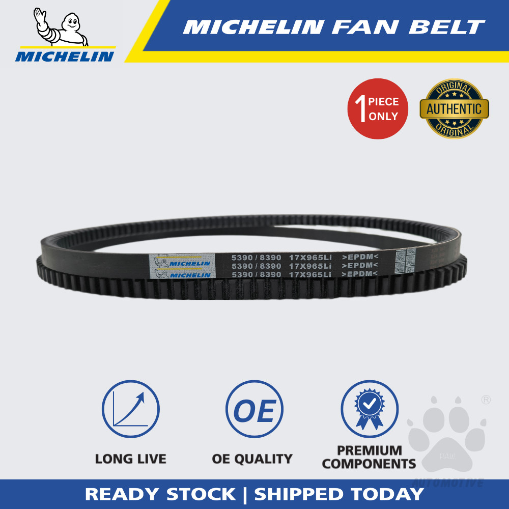 MICHELIN 5390 RPF V Fan Belt for Air Cond, Alternator, Power Steering