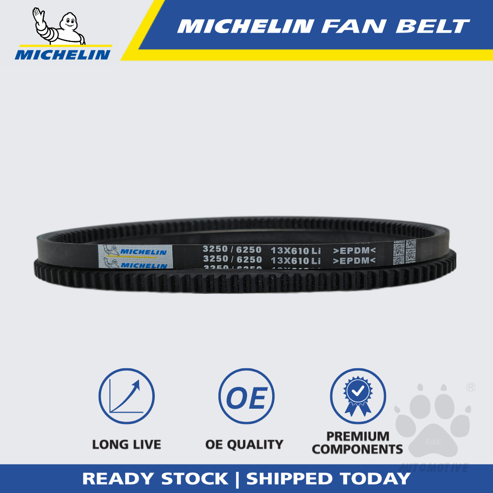 MICHELIN 3250 RPF V Fan Belt for Air Cond, Alternator, Power Steering