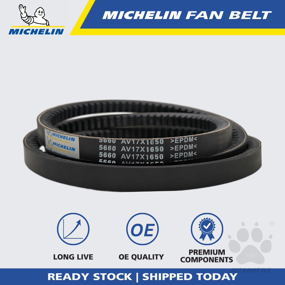 MICHELIN 5660 RPF V Fan Belt for Air Cond, Alternator, Power Steering