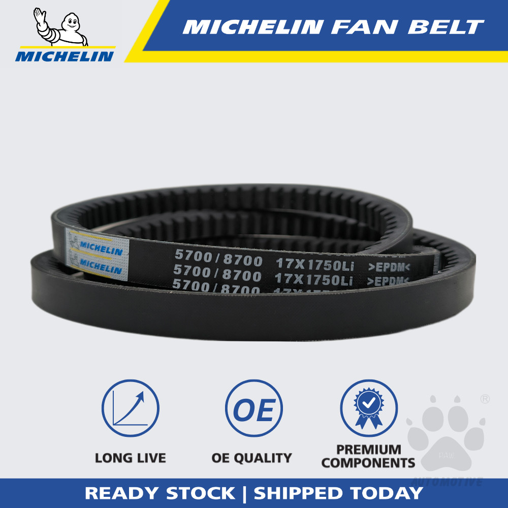 MICHELIN 5700 RPF V Fan Belt for Air Cond, Alternator, Power Steering