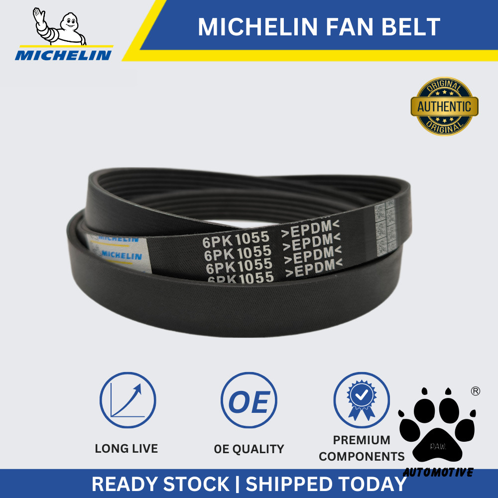 MICHELIN Peugeot 207, Audi A3, TT 2.0, Volkswagen Golf, Passat, Touran, Citroen Fan Belt (6PK1055)