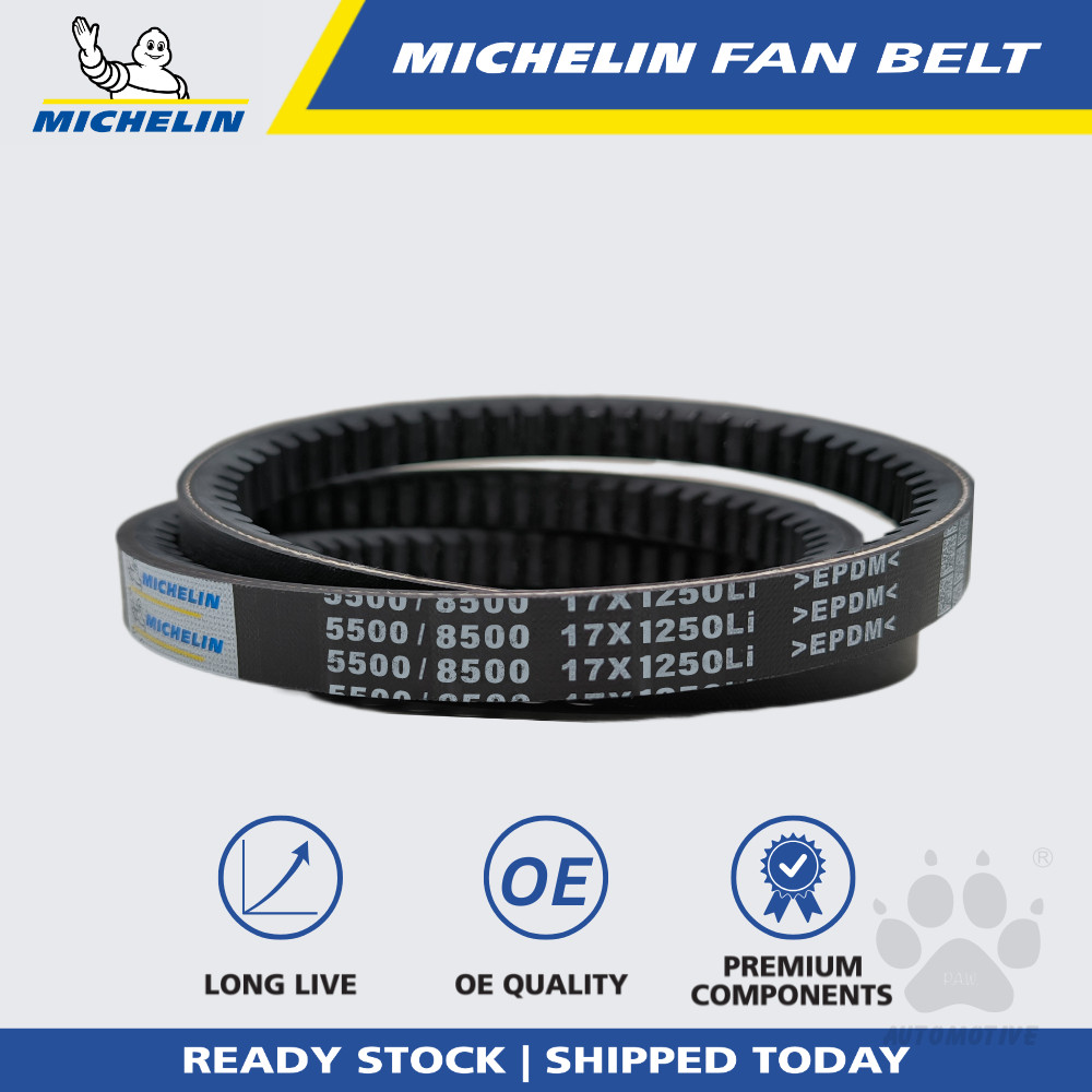 MICHELIN 5500 RPF V Fan Belt for Air Cond, Alternator, Power Steering