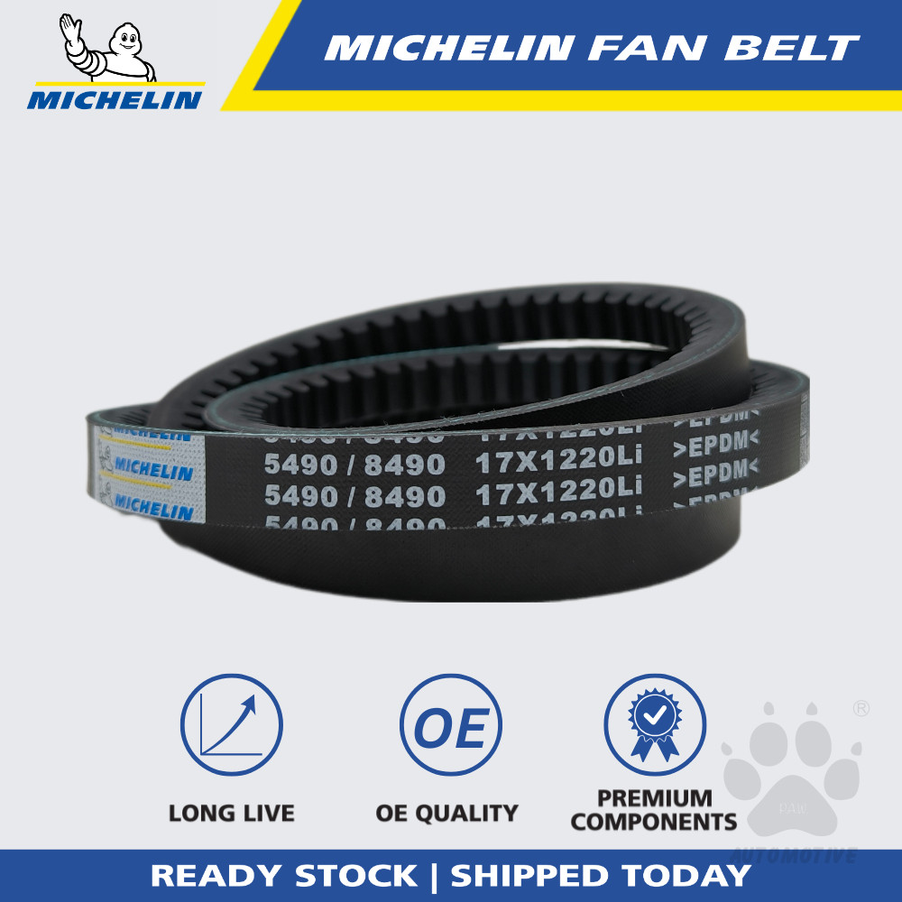 MICHELIN 5490 RPF V Fan Belt for Air Cond, Alternator, Power Steering