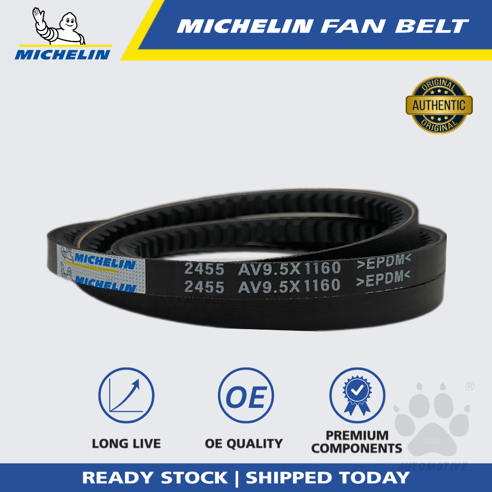 MICHELIN 2455 RPF V Fan Belt for Air Cond, Alternator, Power Steering
