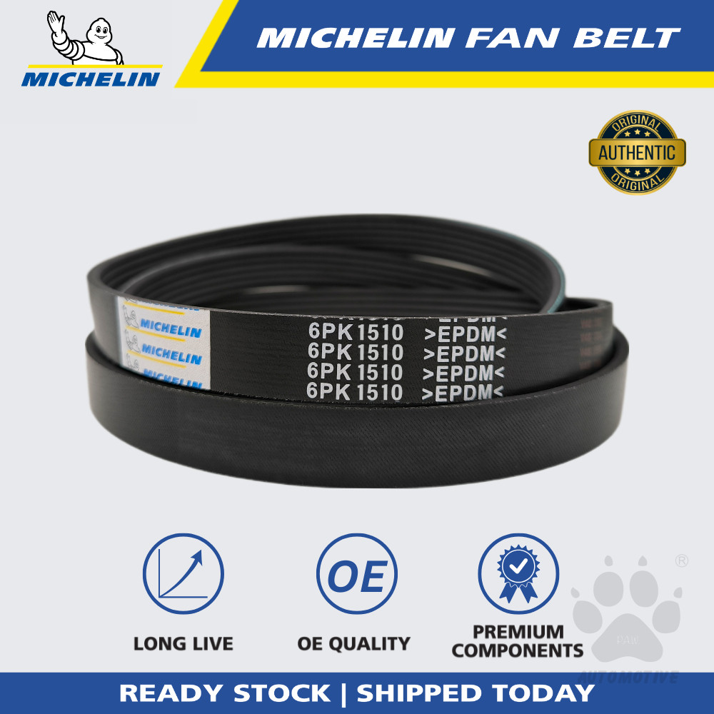 MICHELIN Hyundai Santa FE, Kia Sportage 2.0 Fan Belt (6PK1510)