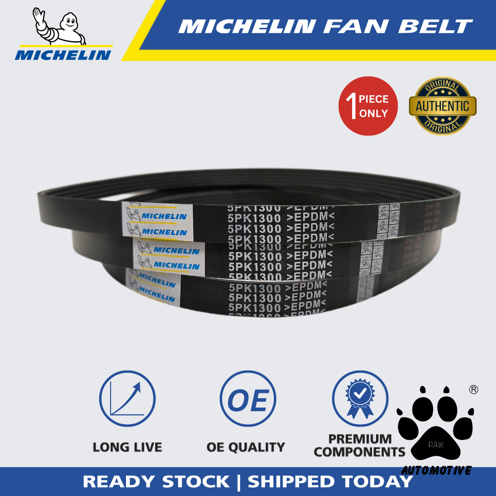 MICHELIN Audi A4 1995-2001, A6 1.8 1997-2005, Volkswagen Passat 1996-2005 Fan Belt (5PK1300)