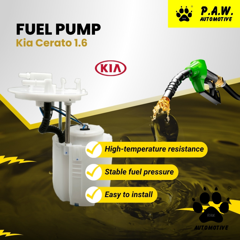 31110-2V210 PAW Fuel Pump - Hyundai Elantra MD 1.6/ 1.8, Kia Cerato K3 2.0