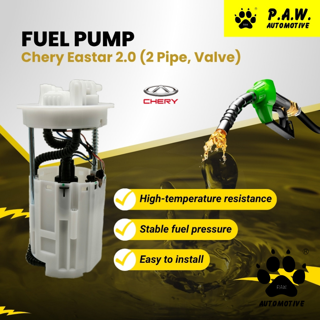 B14-1106610 PAW Fuel Pump - Chery Eastar 2.0 (2 Pipe) (With Valve)